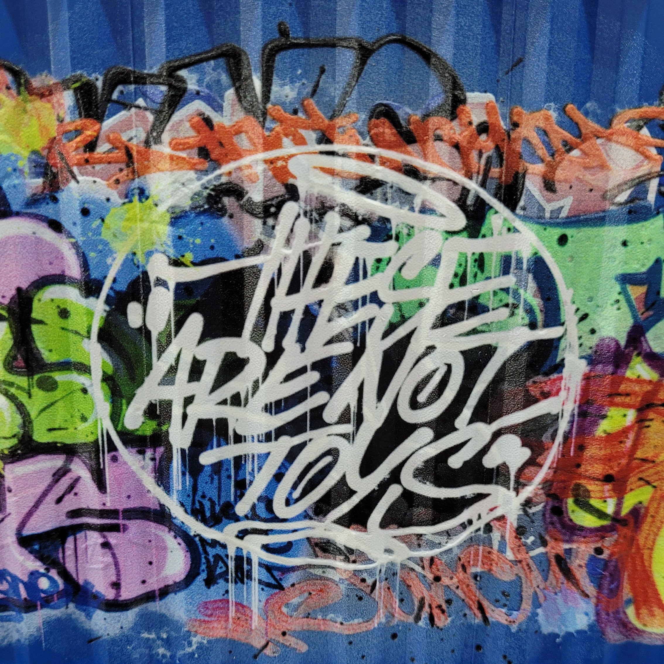 Blanks - "Spray Your Way" Upcycled 1/20 Shipping Container - These Are Not Toys